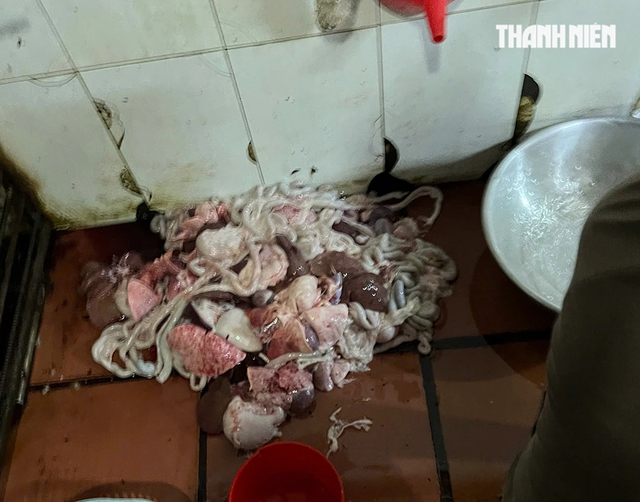R&ugrave;ng m&igrave;nh l&ograve; giết mổ lậu ch&oacute;, m&egrave;o - Ảnh 7.