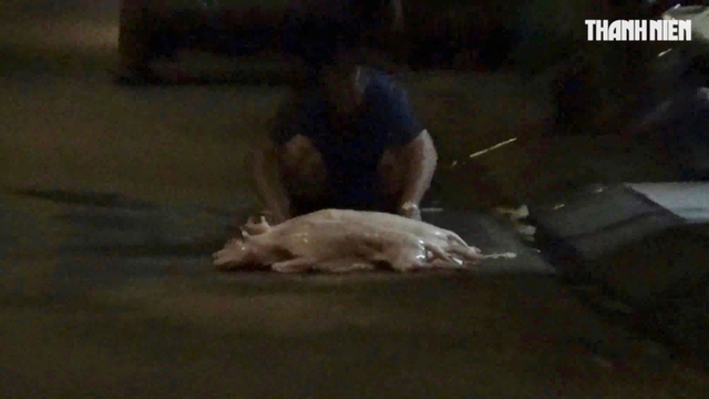 R&ugrave;ng m&igrave;nh l&ograve; giết mổ lậu ch&oacute;, m&egrave;o - Ảnh 8.
