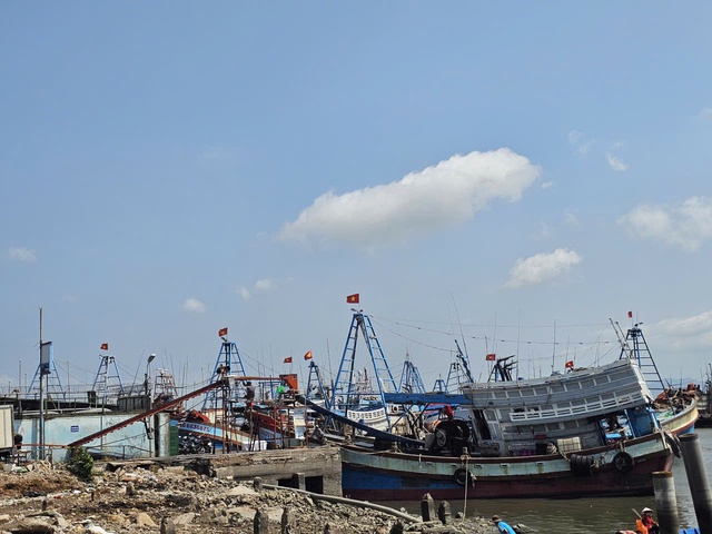 V&igrave; sao TP.HCM chưa chi tiền hỗ trợ Quyết định 48 cho h&agrave;ng trăm chủ t&agrave;u c&aacute;? - Ảnh 2.