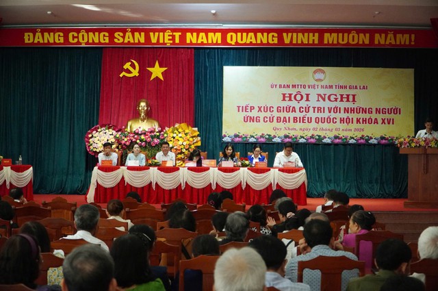 Cử tri Gia Lai kiến nghị xử lý nhiều vấn đề nóng - Ảnh 1.