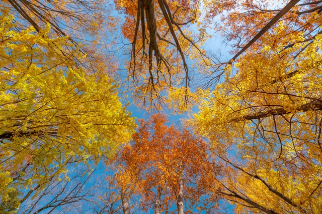 H&ocirc;m nay ng&agrave;y 21.3 l&agrave; ng&agrave;y g&igrave; theo &acirc;m lịch, dương lịch m&agrave; nhiều người quan t&acirc;m? - Ảnh 2.