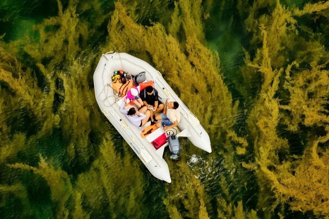 Bức ảnh b&atilde;i rong ở C&ocirc;n Đảo gi&uacute;p nhiếp ảnh gia Việt thắng giải quốc tế- Ảnh 2.