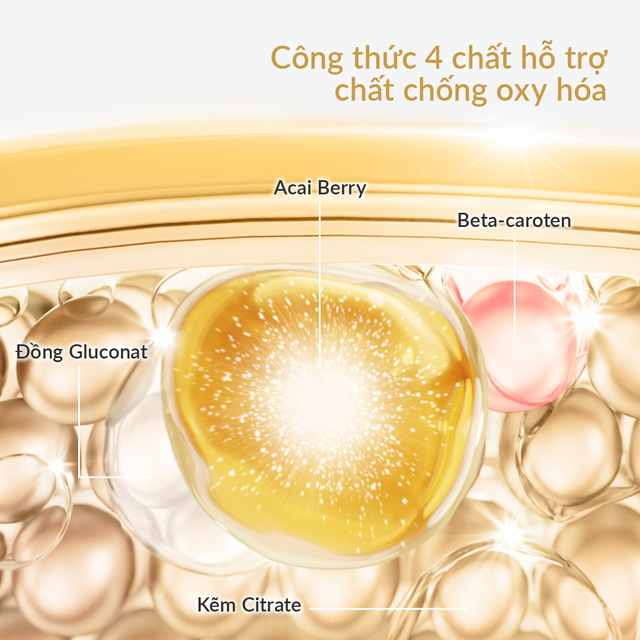 Vẻ đẹp bền vững: Giải m&atilde; cơ chế của Collagen peptides v&agrave; chiết xuất quả Acai - Ảnh 3.