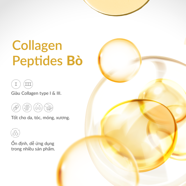 Vẻ đẹp bền vững: Giải m&atilde; cơ chế của Collagen peptides v&agrave; chiết xuất quả Acai - Ảnh 2.