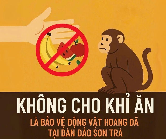 Cho khỉ ăn tự phát tại các khu du lịch: Tưởng yêu thương nhưng gây hại! - Ảnh 2.