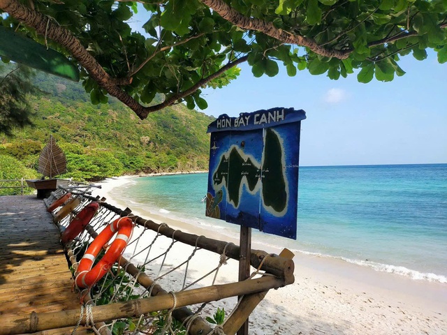 48 rùa mẹ quay về quê hương Côn Đảo đẻ trứng trong hơn 3 tháng qua - Ảnh 3.