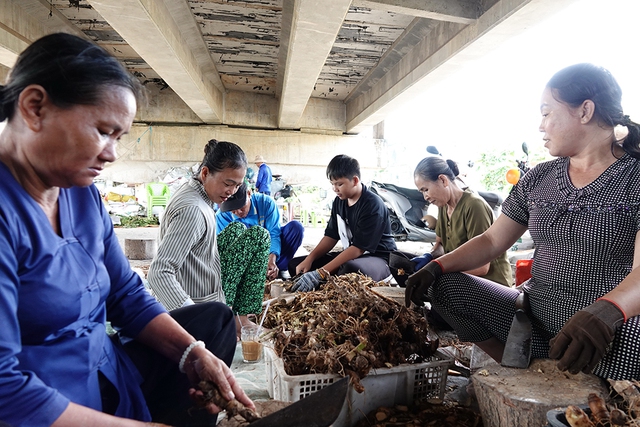 Chuyện tử tế: Miệt mài tìm thuốc nam giúp bệnh nhân nghèo- Ảnh 1. Chuyện tử tế: Miệt mài tìm thuốc nam giúp bệnh nhân nghèo- Ảnh 1.