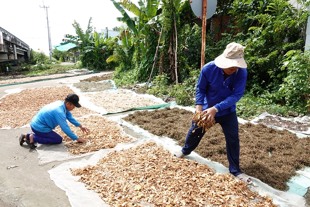 Chuyện tử tế: Miệt mài tìm thuốc nam giúp bệnh nhân nghèo- Ảnh 5. Chuyện tử tế: Miệt mài tìm thuốc nam giúp bệnh nhân nghèo- Ảnh 5.