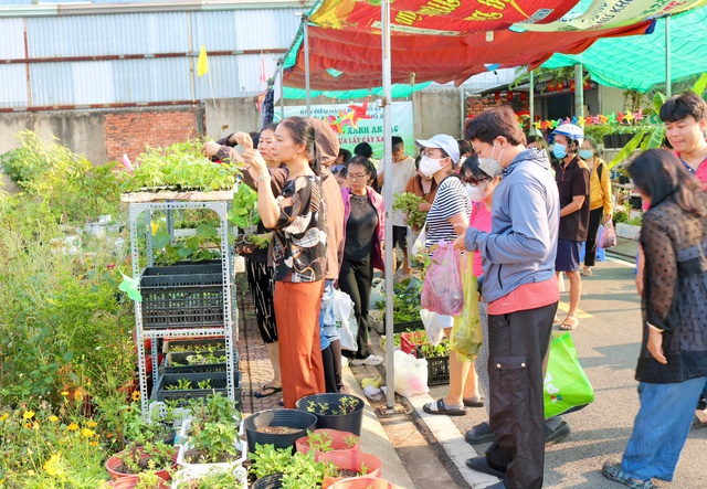 Tại nơi n&agrave;y c&oacute; tặng c&acirc;y giống miễn ph&iacute;, ai cần cứ đến lấy - Ảnh 1.