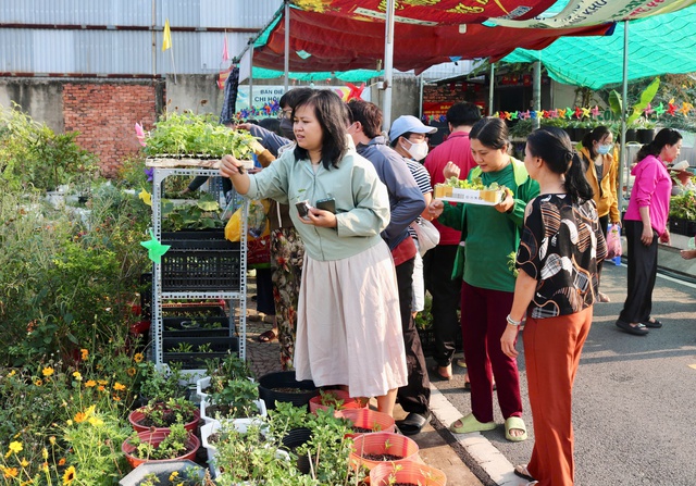 Tại nơi n&agrave;y c&oacute; tặng c&acirc;y giống miễn ph&iacute;, ai cần cứ đến lấy - Ảnh 7.