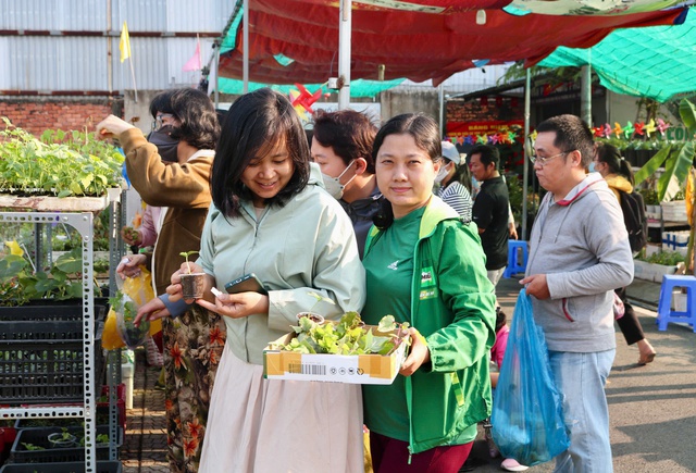 Tại nơi n&agrave;y c&oacute; tặng c&acirc;y giống miễn ph&iacute;, ai cần cứ đến lấy - Ảnh 8.