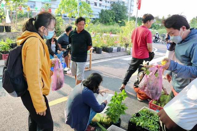 Tại nơi n&agrave;y c&oacute; tặng c&acirc;y giống miễn ph&iacute;, ai cần cứ đến lấy - Ảnh 2.