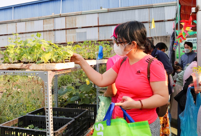Tại nơi n&agrave;y c&oacute; tặng c&acirc;y giống miễn ph&iacute;, ai cần cứ đến lấy - Ảnh 4.