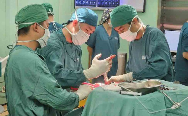 Chiến lược y tế chuyên sâu- Ảnh 1. Chiến lược y tế chuyên sâu- Ảnh 1.