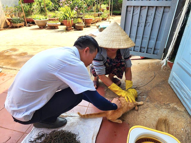 Đắk Lắk khẩn trương ph&ograve;ng, chống bệnh dại- Ảnh 1.