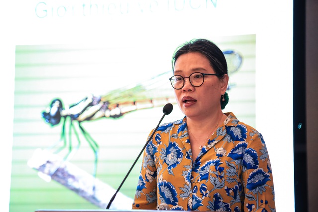 Từ lớp học đến đại dương: Giáo viên Lý Sơn học cách bảo tồn biển- Ảnh 4. Từ lớp học đến đại dương: Giáo viên Lý Sơn học cách bảo tồn biển- Ảnh 4.