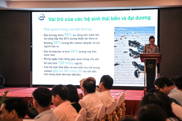 Từ lớp học đến đại dương: Giáo viên Lý Sơn học cách bảo tồn biển- Ảnh 1. Từ lớp học đến đại dương: Giáo viên Lý Sơn học cách bảo tồn biển- Ảnh 1.
