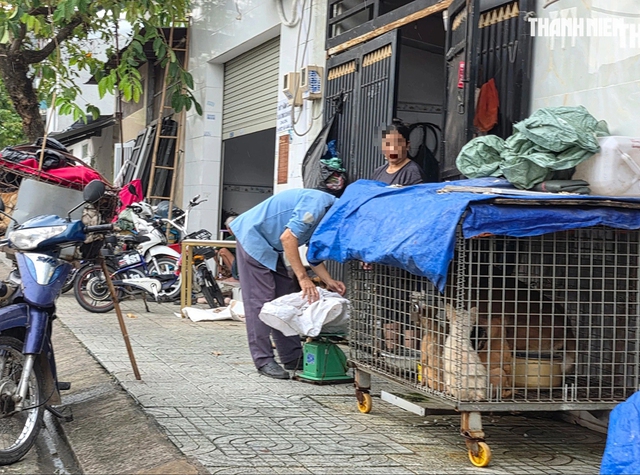 Rùng mình lò giết mổ lậu chó, mèo: Lỗ hổng quản lý nằm ở đâu?- Ảnh 2. Rùng mình lò giết mổ lậu chó, mèo: Lỗ hổng quản lý nằm ở đâu?- Ảnh 2.