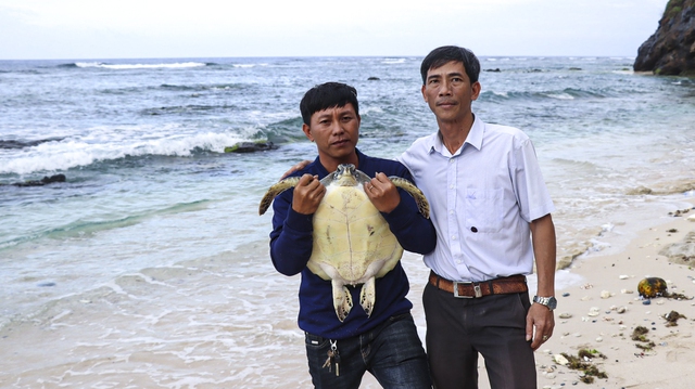 Từ lớp học đến đại dương: Giáo viên Lý Sơn học cách bảo tồn biển- Ảnh 2. Từ lớp học đến đại dương: Giáo viên Lý Sơn học cách bảo tồn biển- Ảnh 2.