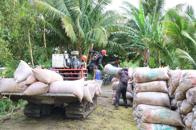 Vì sao 1 tấn lúa sử dụng gần 5.000 mét khối nước?- Ảnh 2. Vì sao 1 tấn lúa sử dụng gần 5.000 mét khối nước?- Ảnh 2.