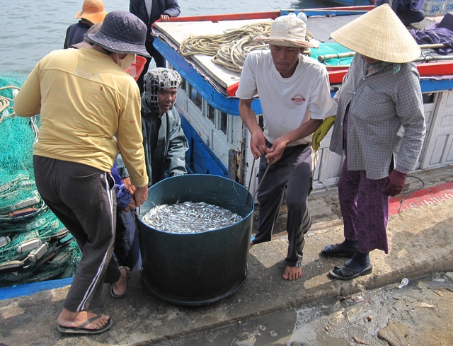 - Ảnh 3. - Ảnh 3.