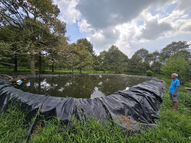 Vì sao 1 tấn lúa sử dụng gần 5.000 mét khối nước?- Ảnh 3. Vì sao 1 tấn lúa sử dụng gần 5.000 mét khối nước?- Ảnh 3.