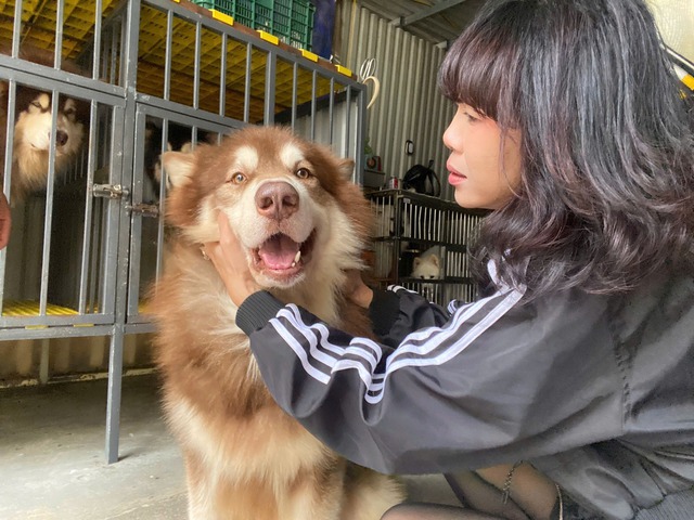 Nghệ sĩ b&agrave;y tỏ quan điểm về nạn giết mổ lậu ch&oacute;, m&egrave;o- Ảnh 3.