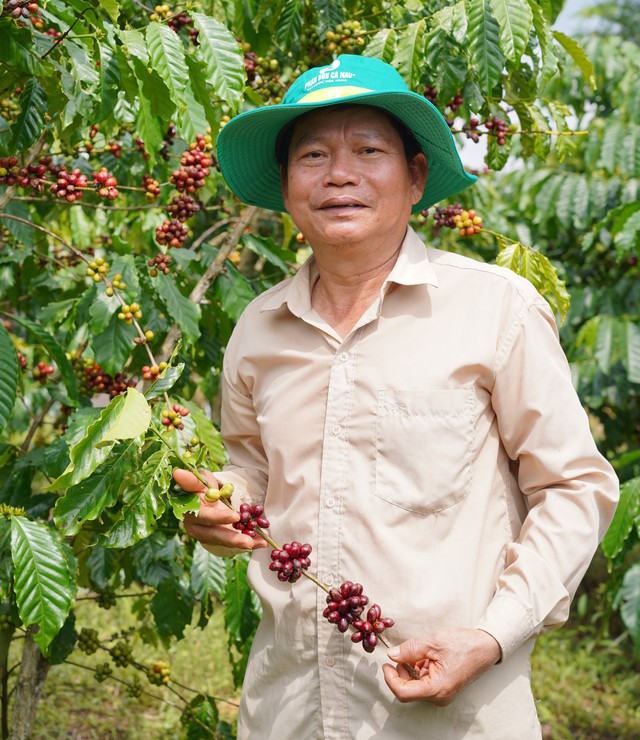 C&agrave; ph&ecirc; Việt từng bước khẳng định vị thế tại thị trường quốc tế - Ảnh 1.