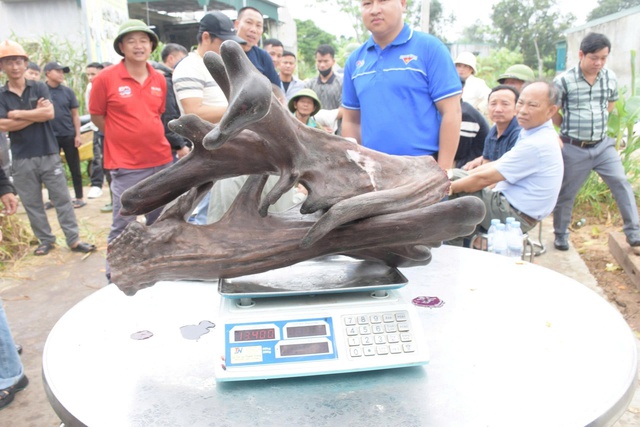 Một n&ocirc;ng d&acirc;n b&aacute;n cặp nhung nai 'khủng' với gi&aacute; 107 triệu đồng- Ảnh 2.