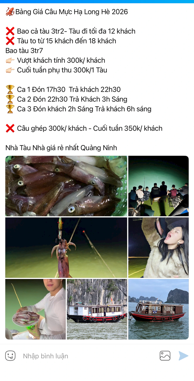 C&acirc;u mực đ&ecirc;m tr&aacute;i ph&eacute;p gia tăng tr&ecirc;n vịnh Hạ Long- Ảnh 3.