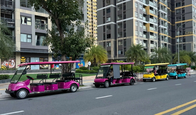 Xử l&yacute; xe điện du lịch &lsquo;3 kh&ocirc;ng&rsquo; tự &yacute; chở kh&aacute;ch trong khu d&acirc;n cư TP.HCM - Ảnh 5.