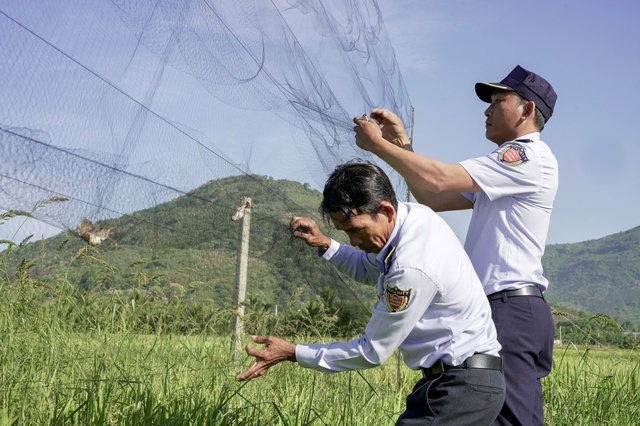 Kh&aacute;nh H&ograve;a siết chặt bảo vệ chim yến trước nạn săn bắt tr&aacute;i ph&eacute;p - Ảnh 2.