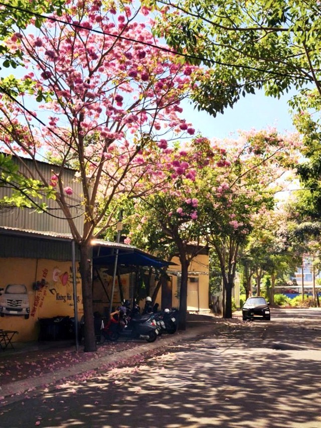 Ngành điện trong mắt của bạn màu gì? - Ảnh 1.