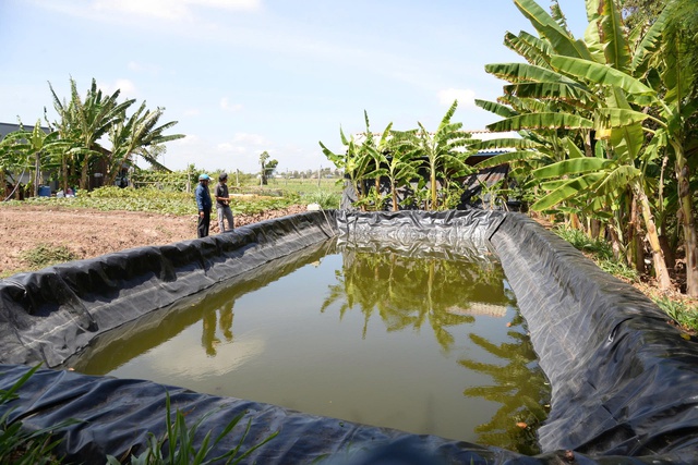 Đồng Th&aacute;p mở nhiều điểm cấp nước đối ph&oacute; với x&acirc;m nhập mặn - Ảnh 2.