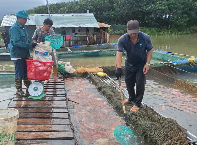 Làng bồng bềnh trên dòng Pô Kô - Ảnh 2. Làng bồng bềnh trên dòng Pô Kô - Ảnh 2.