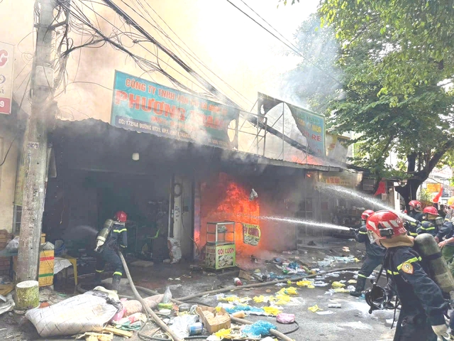 - Ảnh 1. - Ảnh 1.