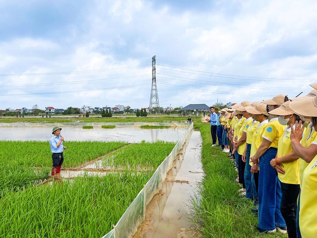 Syngenta n&acirc;ng bước phụ nữ n&ocirc;ng th&ocirc;n Việt: Gieo y&ecirc;u thương để gặt th&agrave;nh c&ocirc;ng - Ảnh 5.