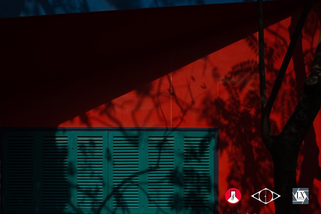 Chậm bước giữa thế gian vội vã - thông điệp từ triển lãm 'Nhân dạng gốc'- Ảnh 2. Chậm bước giữa thế gian vội vã - thông điệp từ triển lãm 'Nhân dạng gốc'- Ảnh 2.