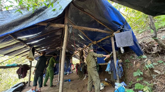 Đà Nẵng: Phát hiện 'công xưởng' khai thác vàng trái phép giữa rừng sâu Khe Ma- Ảnh 1. Đà Nẵng: Phát hiện 'công xưởng' khai thác vàng trái phép giữa rừng sâu Khe Ma- Ảnh 1.