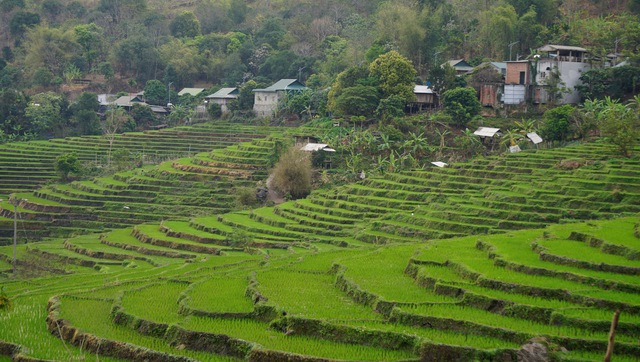 Ưu đ&atilde;i của tỉnh Thanh H&oacute;a cho c&aacute;c dự &aacute;n đầu tư trong 5 năm tới - Ảnh 1.