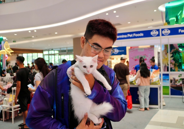 Cuối tuần, th&uacute; cưng được 'l&ecirc;n đồ lộng lẫy' đi &lsquo;trẩy hội&rsquo;- Ảnh 2.