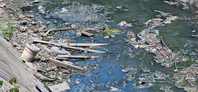 Ô nhiễm kênh 19 Tháng 5 ở TP.HCM: Rác thải bủa vây, nước đen bốc mùi thối- Ảnh 3. Ô nhiễm kênh 19 Tháng 5 ở TP.HCM: Rác thải bủa vây, nước đen bốc mùi thối- Ảnh 3.