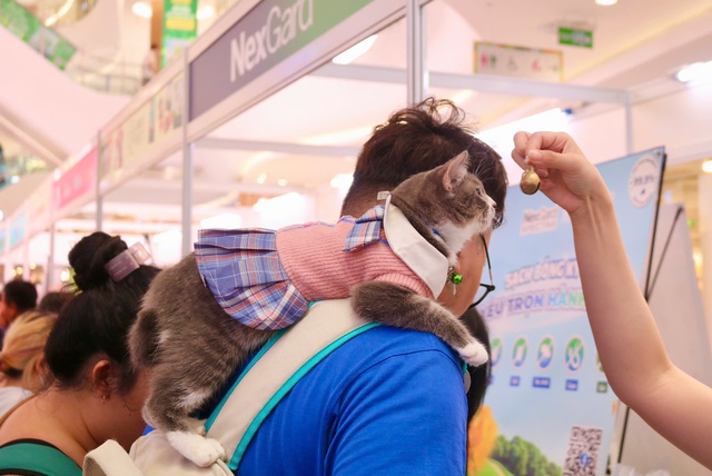 Cuối tuần, th&uacute; cưng được 'l&ecirc;n đồ lộng lẫy' đi &lsquo;trẩy hội&rsquo;- Ảnh 5.