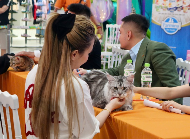 Cuối tuần, th&uacute; cưng được 'l&ecirc;n đồ lộng lẫy' đi &lsquo;trẩy hội&rsquo;- Ảnh 8.