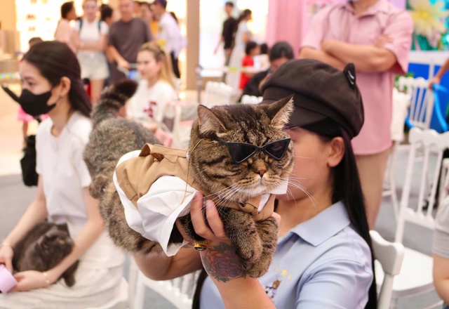 Cuối tuần, th&uacute; cưng được 'l&ecirc;n đồ lộng lẫy' đi &lsquo;trẩy hội&rsquo;- Ảnh 3.