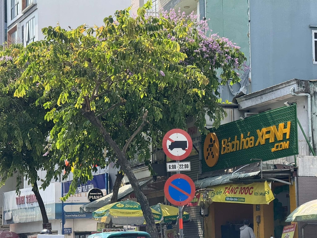 TPHCM kh&ocirc;ng cấm xe b&aacute;n tải nhưng t&agrave;i xế vẫn 'r&eacute;n' khi v&agrave;o nội đ&ocirc; - Ảnh 5.