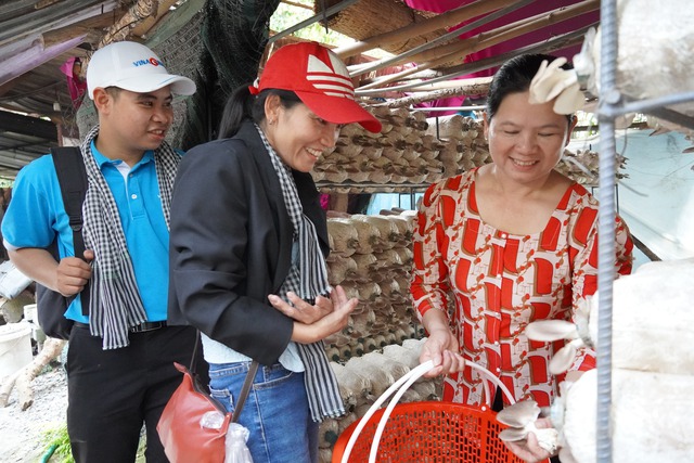 Đến c&ugrave; lao Thới Sơn trải nghiệm du lịch với trại nấm b&agrave;o ngư  - Ảnh 4.