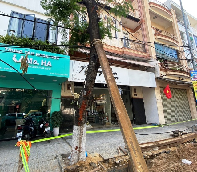 Đà Nẵng lên tiếng vụ hàng loạt cây xanh bị cắt trụi giữa nắng nóng - Ảnh 2.