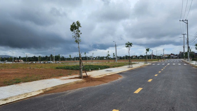 Hủy kết quả đấu gi&aacute; 28 l&ocirc; đất Quảng Ng&atilde;i do bỏ cọc v&agrave; gi&aacute; cao bất thường - Ảnh 1.