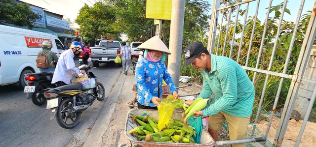 Vợ chồng lão nông U.70 và vườn bắp 'tự bẻ' đắt khách ở ngoại ô Sài Gòn - Ảnh 6.